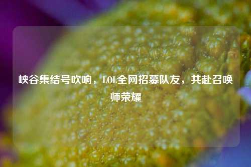 峡谷集结号吹响，LOL全网招募队友，共赴召唤师荣耀