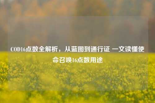 COD16点数全解析，从蓝图到通行证 一文读懂使命召唤16点数用途