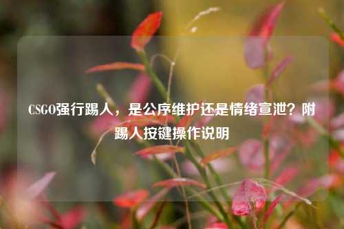 CSGO强行踢人,是公序维护还是情绪宣泄?附踢人按键操作说明