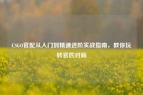 CSGO官配从入门到精通进阶实战指南,教你玩转官匹对局