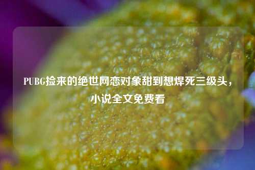 PUBG捡来的绝世网恋对象甜到想焊死三级头,小说全文免费看