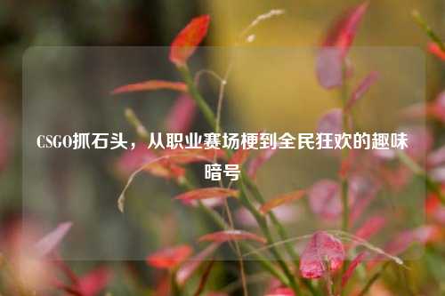 CSGO抓石头,从职业赛场梗到全民狂欢的趣味暗号