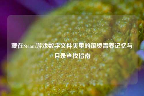 藏在Steam游戏数字文件夹里的滚烫青春记忆与目录查找指南