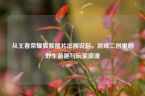 从王者荣耀狐猴图片出圈说起，游戏二创里的野生萌趣与玩家浪漫