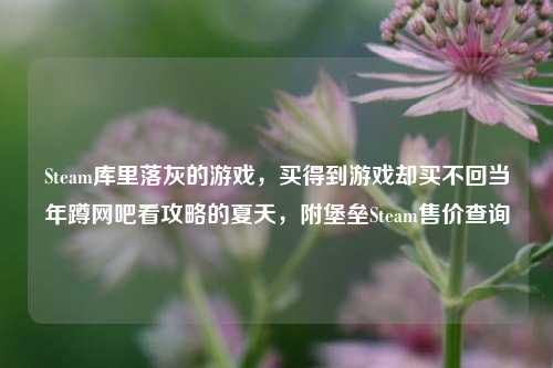 Steam库里落灰的游戏，买得到游戏却买不回当年蹲网吧看攻略的夏天，附堡垒Steam售价查询