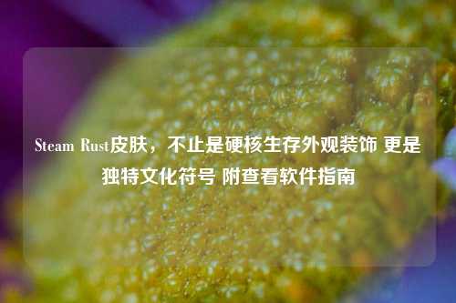 Steam Rust皮肤,不止是硬核生存外观装饰 更是独特文化符号 附查看软件指南