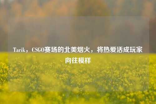 Tarik，CSGO赛场的北美烟火，将热爱活成玩家向往模样