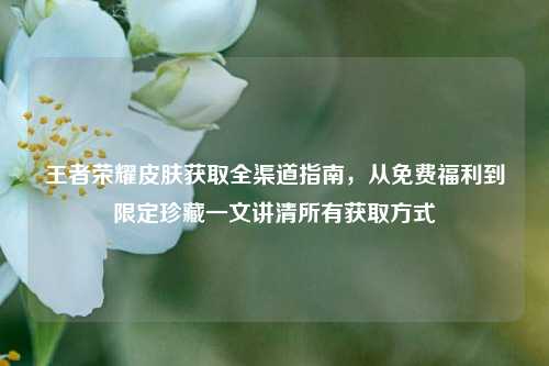 王者荣耀皮肤获取全渠道指南,从免费福利到限定珍藏一文讲清所有获取方式