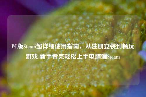 PC版Steam超详细使用指南，从注册安装到畅玩游戏 新手看完轻松上手电脑端Steam