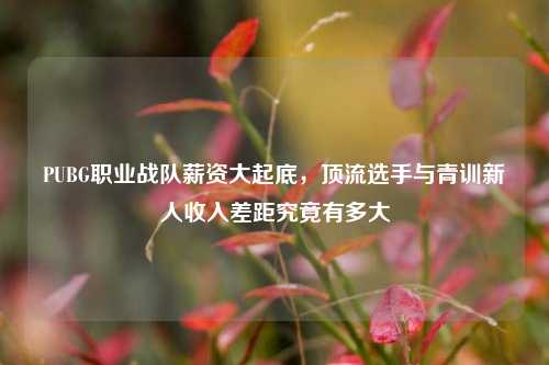 PUBG职业战队薪资大起底，顶流选手与青训新人收入差距究竟有多大