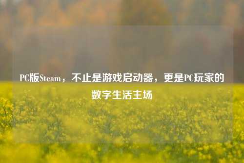 PC版Steam,不止是游戏启动器,更是PC玩家的数字生活主场