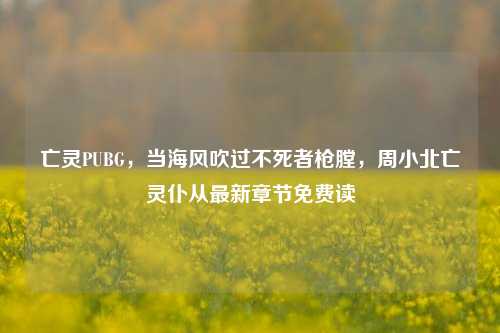 亡灵PUBG,当海风吹过不死者枪膛,周小北亡灵仆从最新章节免费读