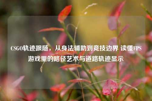 CSGO轨迹跟随,从身法辅助到竞技边界 读懂FPS游戏里的路径艺术与道路轨迹显示