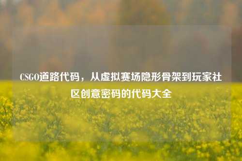 CSGO道路代码,从虚拟赛场隐形骨架到玩家社区创意密码的代码大全