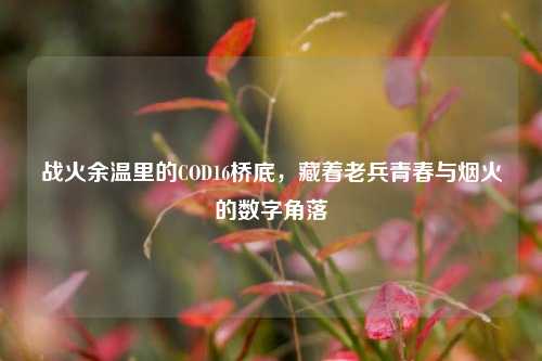 战火余温里的COD16桥底,藏着老兵青春与烟火的数字角落