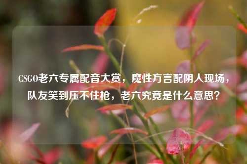 CSGO老六专属配音大赏,魔性方言配阴人现场,队友笑到压不住枪,老六究竟是什么意思?