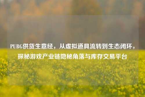 PUBG供货生意经，从虚拟道具流转到生态闭环，探秘游戏产业链隐秘角落与库存交易平台
