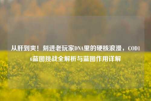 从肝到爽!刻进老玩家DNA里的硬核浪漫,COD16蓝图挑战全解析与蓝图作用详解