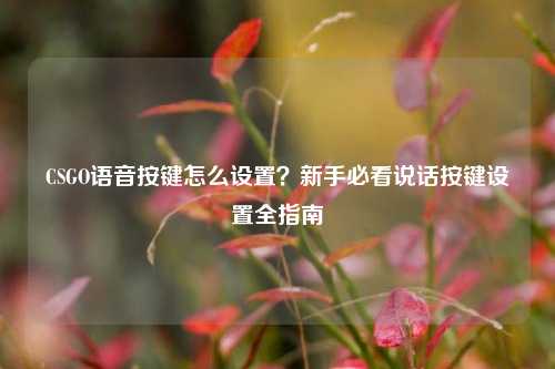 CSGO语音按键怎么设置?新手必看说话按键设置全指南