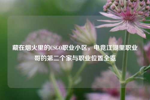 藏在烟火里的CSGO职业小区，电竞江湖里职业哥的第二个家与职业位置全览