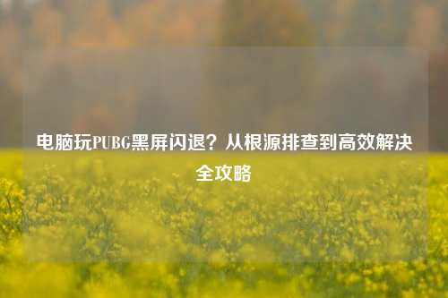 电脑玩PUBG黑屏闪退?从根源排查到高效解决全攻略