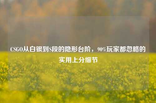 CSGO从白银到S段的隐形台阶,90%玩家都忽略的实用上分细节