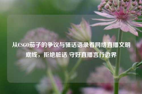 从CSGO茄子的争议与骚话语录看网络直播文明底线,拒绝脏话 守好直播言行边界