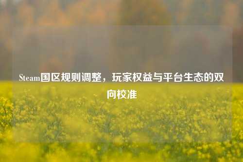 Steam国区规则调整，玩家权益与平台生态的双向校准