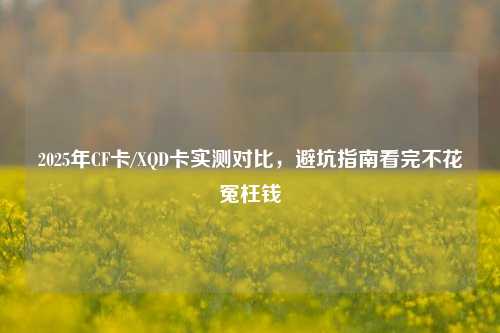 2025年CF卡/XQD卡实测对比,避坑指南看完不花冤枉钱