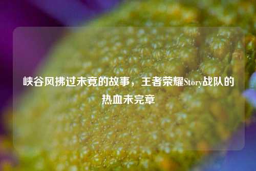 峡谷风拂过未竟的故事，王者荣耀Story战队的热血未完章