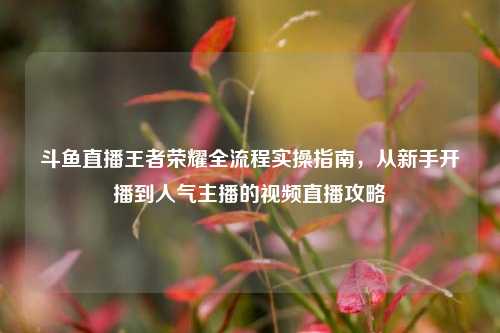 斗鱼直播王者荣耀全流程实操指南,从新手开播到人气主播的视频直播攻略