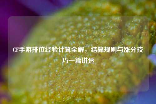 CF手游排位经验计算全解，结算规则与涨分技巧一篇讲透