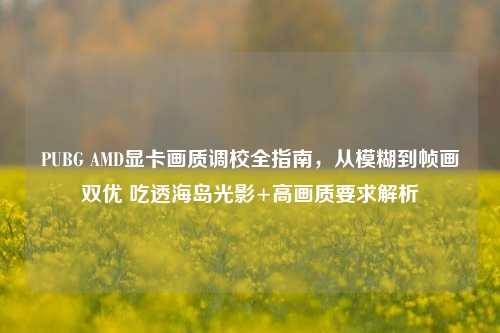 PUBG AMD显卡画质调校全指南，从模糊到帧画双优 吃透海岛光影+高画质要求解析