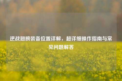 逆战翅膀装备位置详解，超详细操作指南与常见问题解答