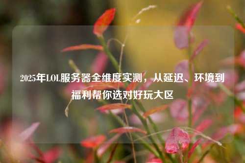 2025年LOL服务器全维度实测,从延迟、环境到福利帮你选对好玩大区