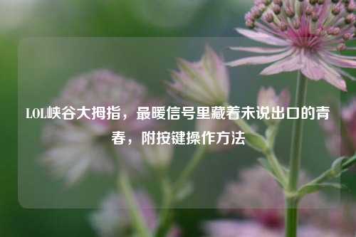 LOL峡谷大拇指，最暖信号里藏着未说出口的青春，附按键操作方法