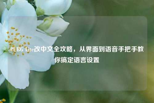 PUBG Lite改中文全攻略，从界面到语音手把手教你搞定语言设置