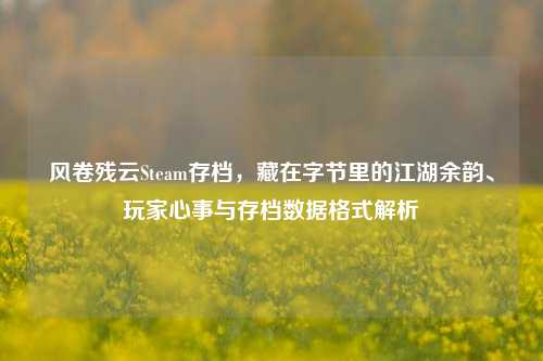 风卷残云Steam存档,藏在字节里的江湖余韵、玩家心事与存档数据格式解析