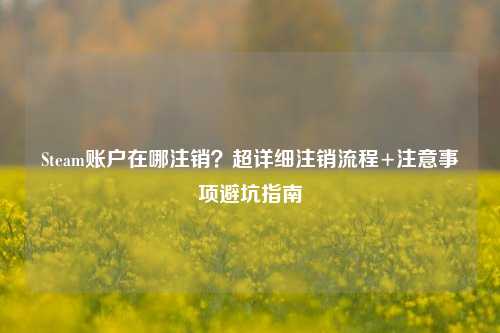 Steam账户在哪注销?超详细注销流程+注意事项避坑指南