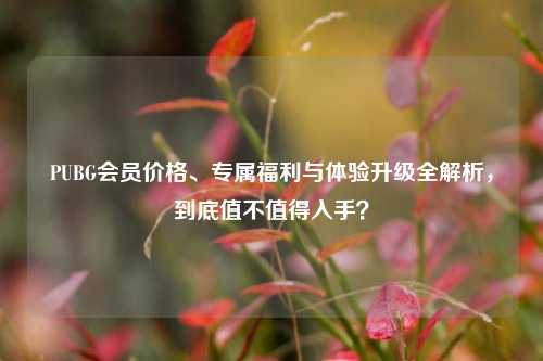 PUBG会员价格、专属福利与体验升级全解析,到底值不值得入手?