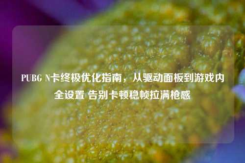 PUBG N卡终极优化指南,从驱动面板到游戏内全设置 告别卡顿稳帧拉满枪感