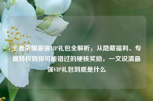 王者荣耀最强VIP礼包全解析,从隐藏福利、专属特权到你可能错过的硬核奖励,一文说清最强VIP礼包到底是什么