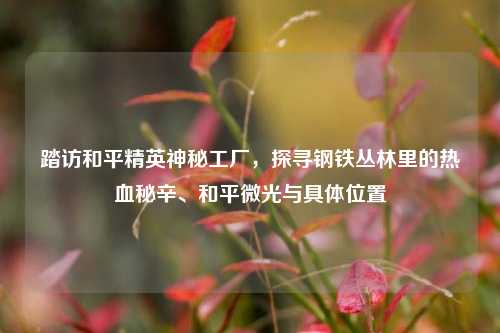 踏访和平精英神秘工厂,探寻钢铁丛林里的热血秘辛、和平微光与具体位置