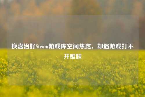 换盘治好Steam游戏库空间焦虑，却遇游戏打不开难题