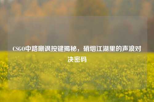 CSGO中路嘲讽按键揭秘,硝烟江湖里的声浪对决密码