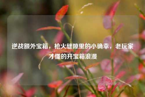 逆战额外宝箱，枪火缝隙里的小确幸，老玩家才懂的开宝箱浪漫