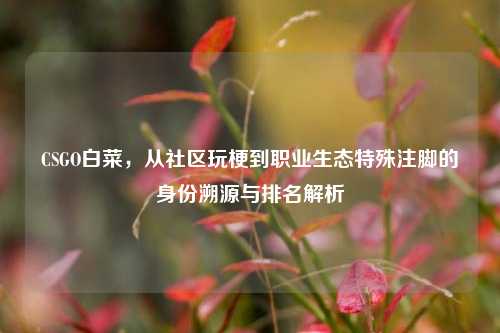 CSGO白菜,从社区玩梗到职业生态特殊注脚的身份溯源与排名解析
