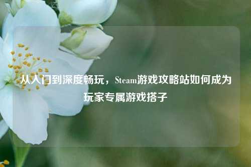 从入门到深度畅玩，Steam游戏攻略站如何成为玩家专属游戏搭子