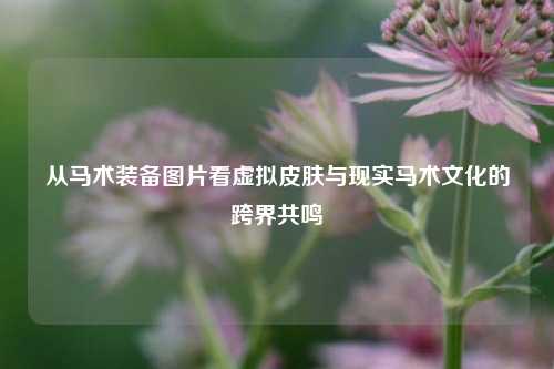 从马术装备图片看虚拟皮肤与现实马术文化的跨界共鸣