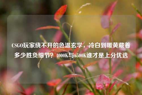 CSGO玩家绕不开的色温玄学，冷白到暖黄藏着多少胜负细节？4000K与6500K谁才是上分优选